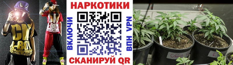 Как найти закладки Железноводск KRAKEN ссылки КОКАИН ГАШ Героин Меф Каннабис