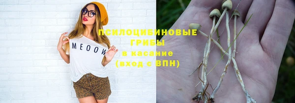 сатива Вяземский