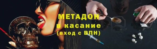сатива Вяземский