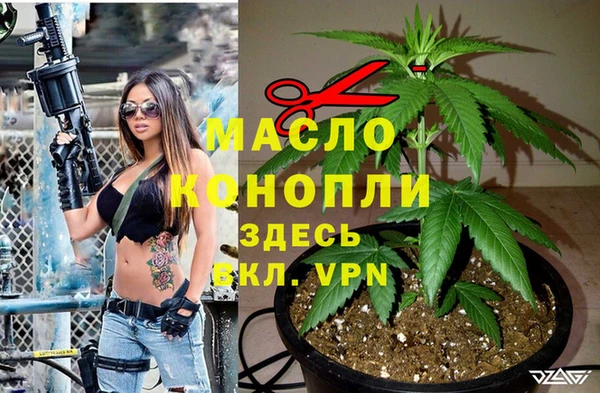 сатива Вяземский