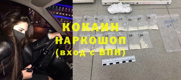 сатива Вяземский