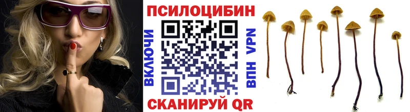 Галлюциногенные грибы MAGIC MUSHROOMS  сколько стоит  Железноводск 